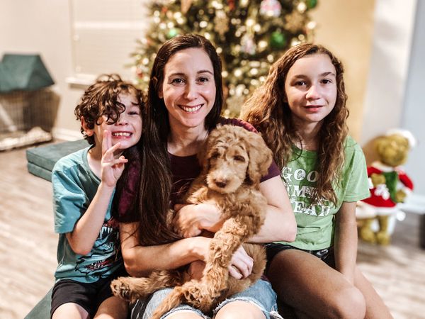 Goldendoodle puppy good with kids