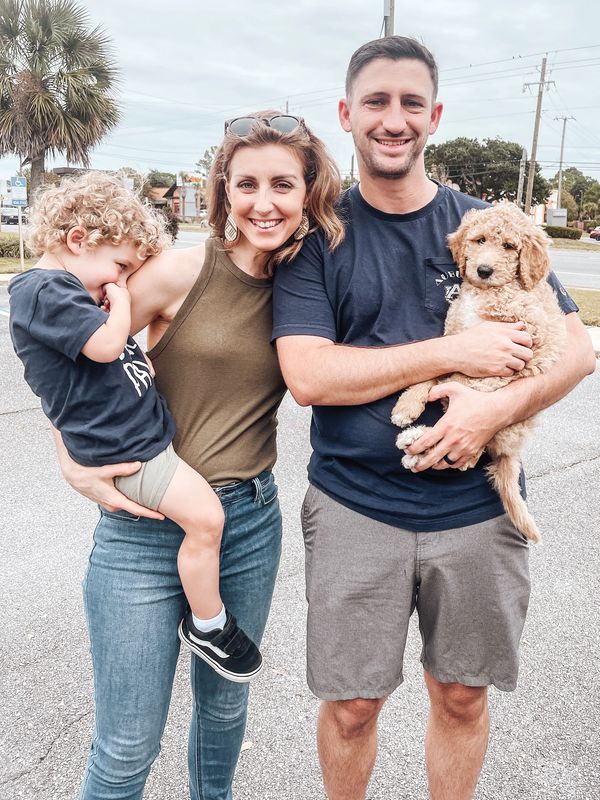 Goldendoodle family dog