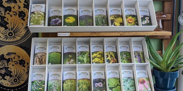 Selection of medicinal seeds in the store