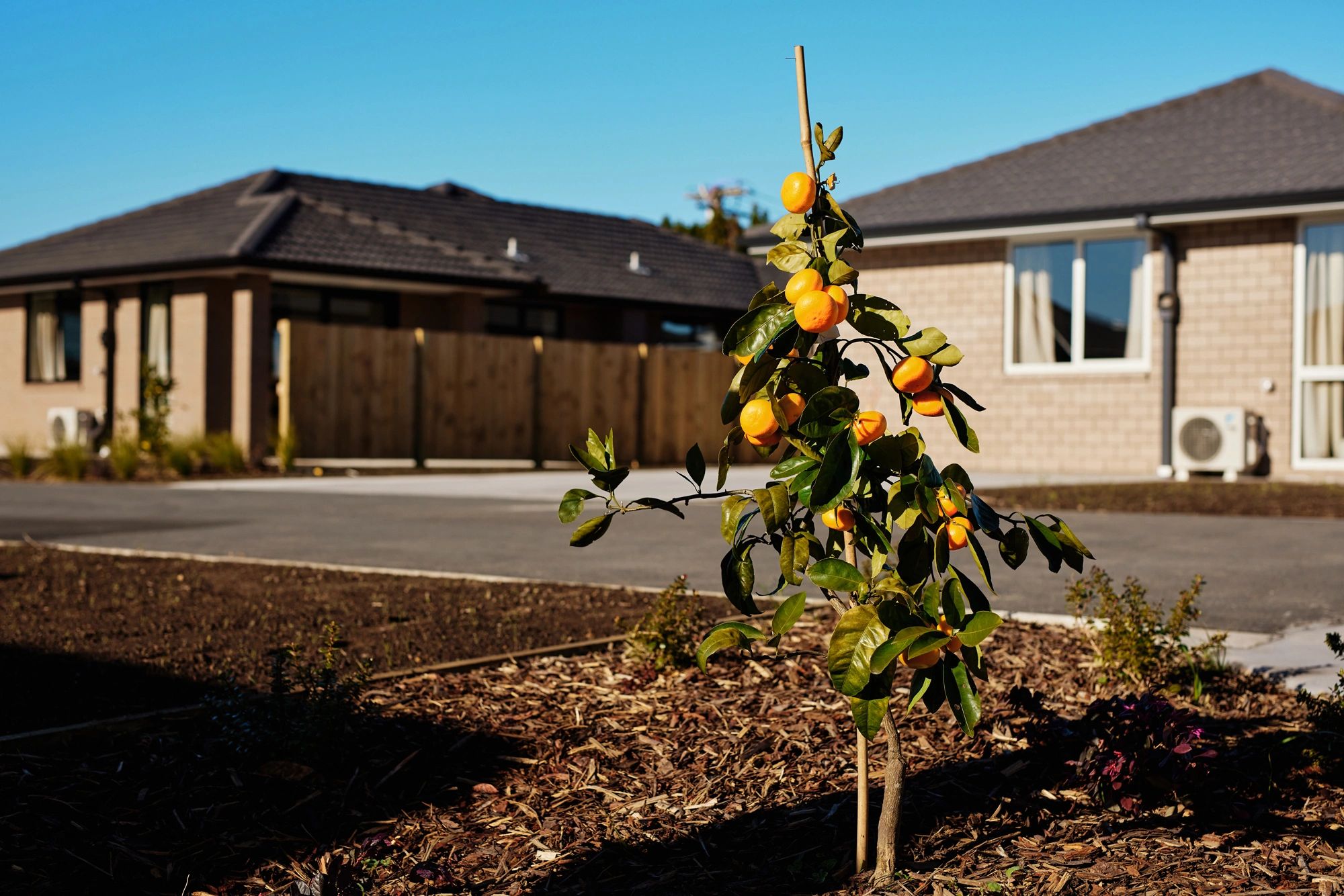 Tauranga Community Housing Trust logo