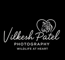 📷Vilkesh Patel