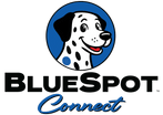 BlueSpot Advertising