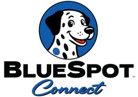 BlueSpot Advertising