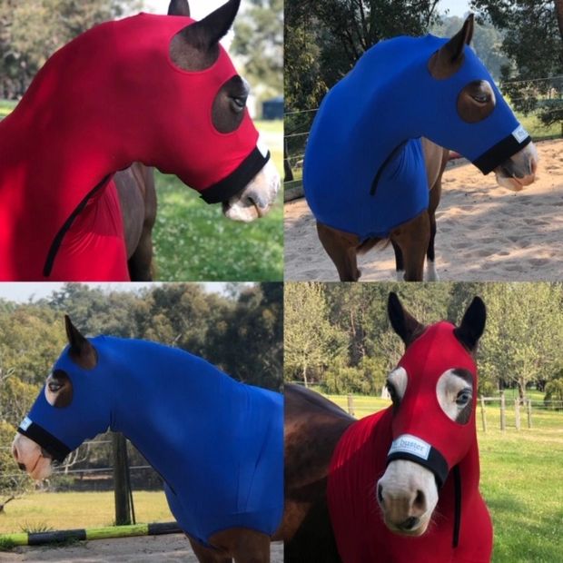Fly Buster Masks & Fly Protection Horse Hoods, Horse Hoods, Horses