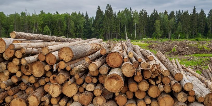 pile of wood