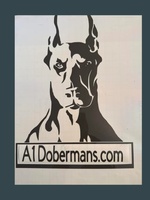 A~1 Dobermans
