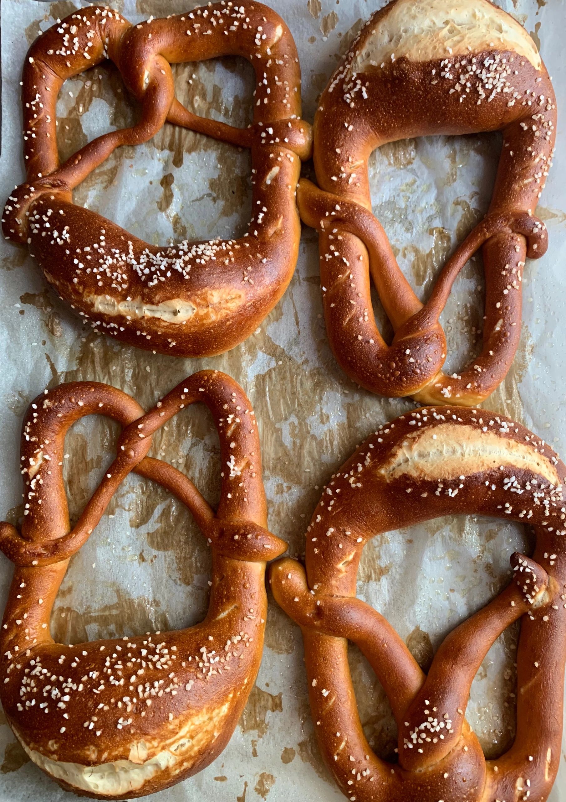 FatBelly Pretzel Pretzels, Bakery, Cookies