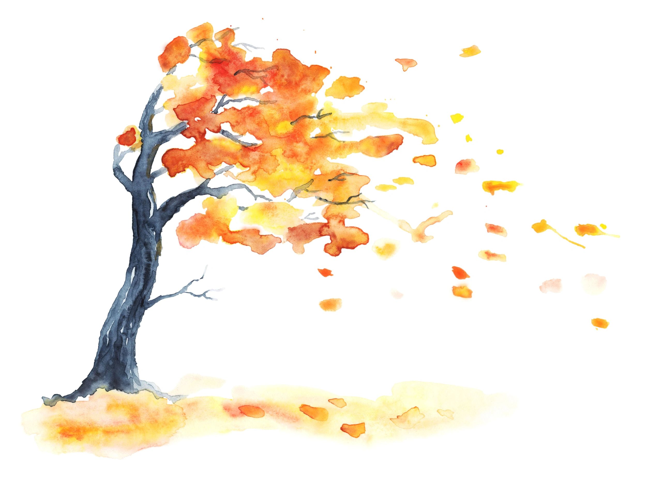 Рисование . Осенний ветер.