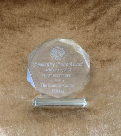 Crystal award for Best Nonprofit given to The Sammy Center in 2024.