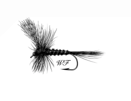 Whisper Flyte