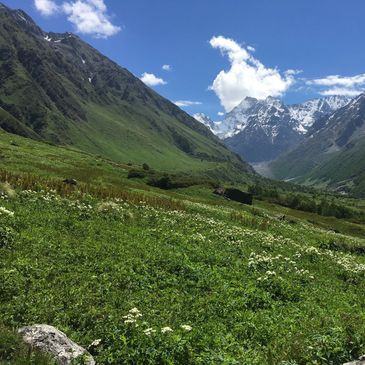 Flowers of valley