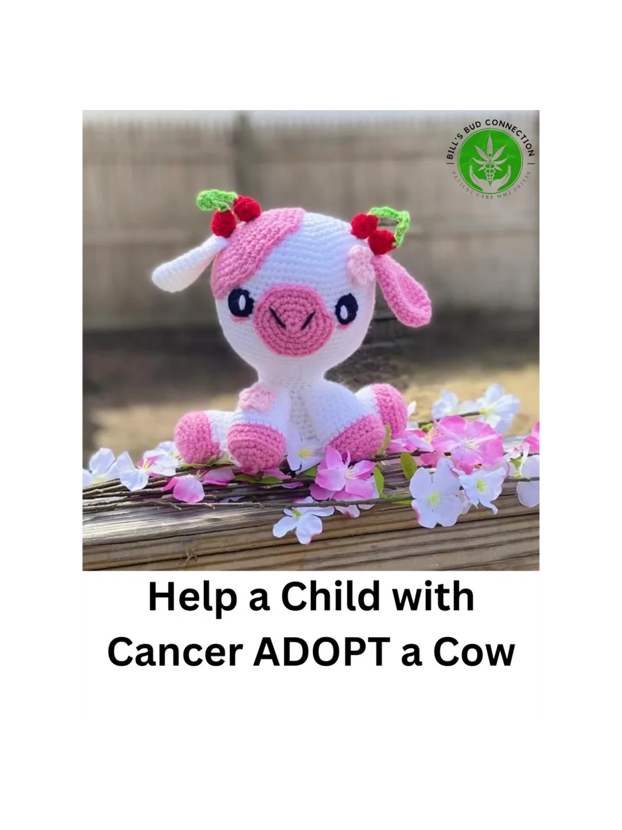 Adopt A Cow or Barnyard Freind! Sponsored By Cancer Cows by Tina
