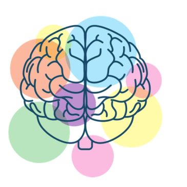 Colorful brain illustration with overlapping circles.