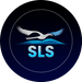 Silver Lining Advisory Solutions