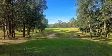 A sunny golf course fairway surrounded by trees under a clear blue sky.