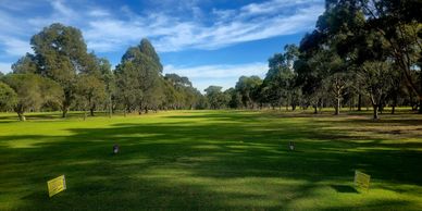 A clear golf course tee area surrounded by trees under a blue sky.