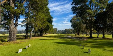 A sunny golf course tee box lined with trees and clear blue sky.