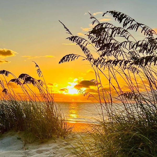 Sunset over the ocean with beach grass silhouettes in the foreground.