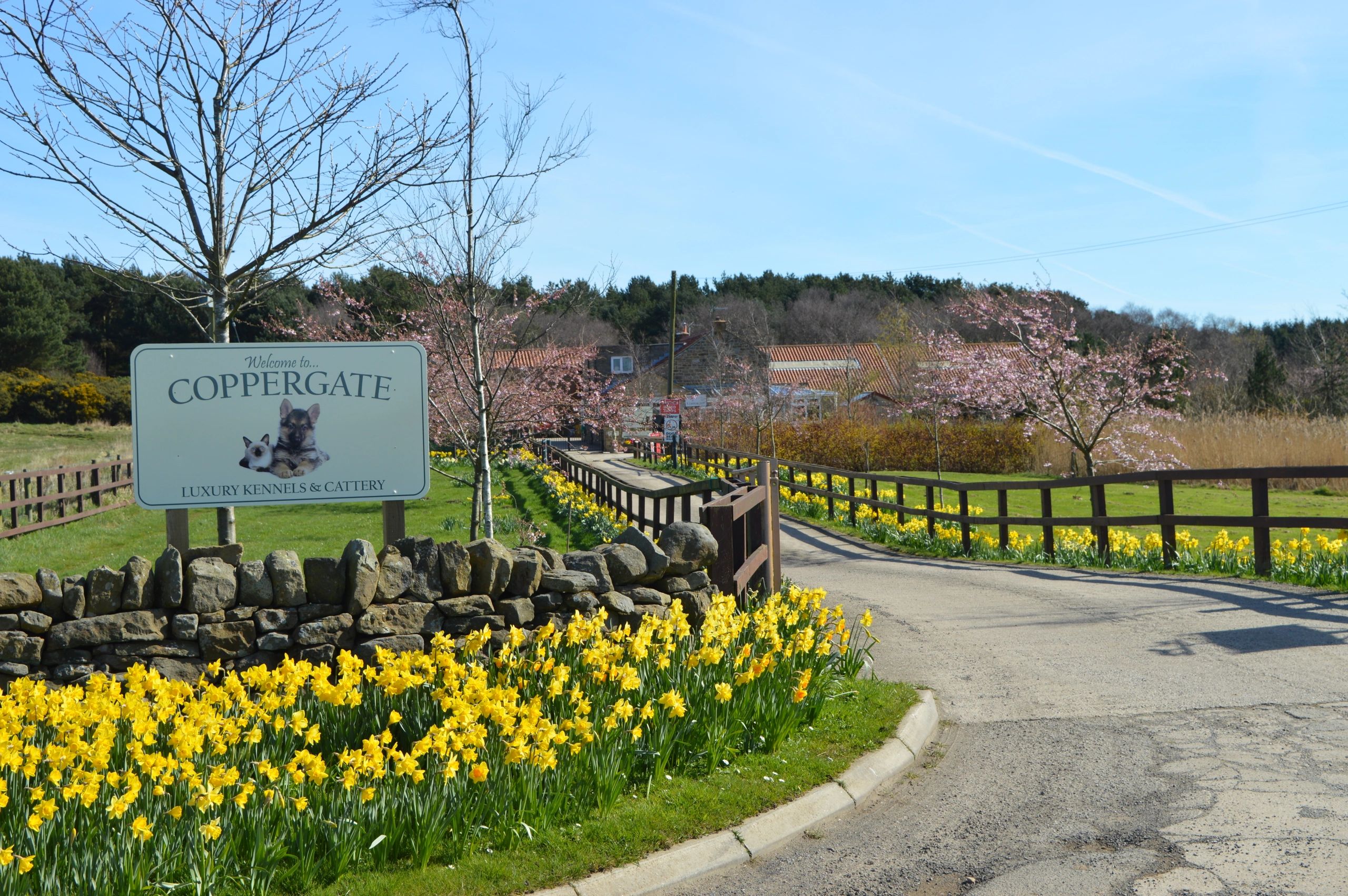 Luxury Kennels Coppergate Luxury Boarding Kennels & Cattery