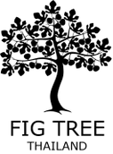 Fig Tree Thailand