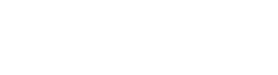 ORION GROUP LLC