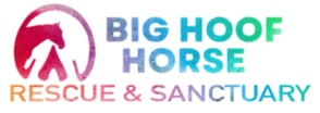 Big Hoof Horse Rescue and Sanctuary INC.