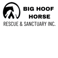 Big Hoof Horse Rescue and Sanctuary INC.