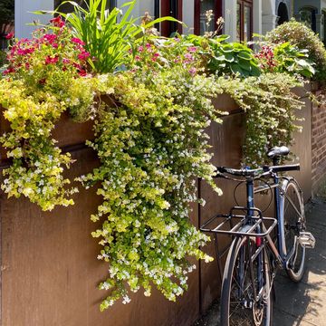 Bespoke bike shed