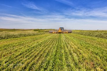 agriculture, alfalfa, Buhl, farm equipment, farming, hay, haylage, Idaho, Magic Valley, tractor