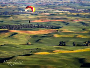  Hang glider, Palouse, rolling hills, parachute gliders, Step toe Butte, wheat, green, farms