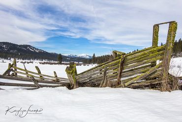 Chute, Green Chute, Hwy 95, mountains, New Meadows, snow, cattle, agriculture, Kaylyn Franks