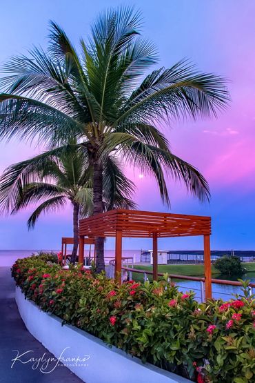  Grand Mayan, Kaylyn Franks Photography, magenta, Mexico, moon set, Nuevo Vallarta, pink, sky, 