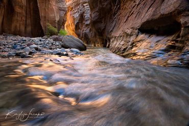 Fall, reflections  Liquid Gold, Narrows, red rock, river, Utah, Virgin River, water, Zions Park