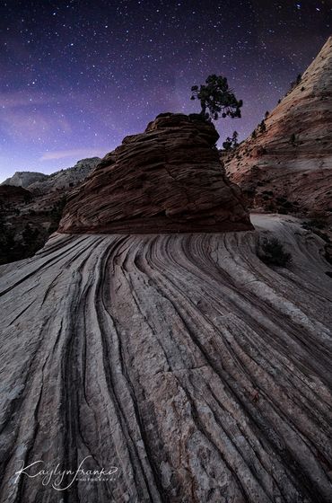  rugged, scenic, southwest, stone, stars, Utah, valley, vast, Bonzai tree, Zion national park