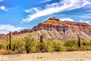 Island Hopping, Mar Y Adventures, Mexico, mountain, ocean, plateau, ranch, Sea of Cortez, Tembabichi