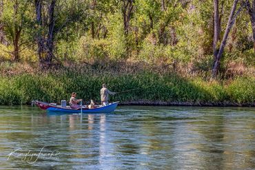 dog, drift boat, fly fishing, River, South Fork of the Snake River, water