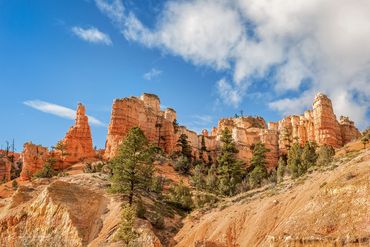  Bryce Canyon, Capital Reef, cliff, colorful, curve, curvy, dawn, desert, forest, formation, Utah
