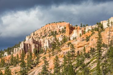  Bryce Canyon, Capital Reef, cliff, colorful, curve, curvy, dawn, desert, forest, formation, Utah