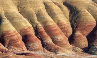 Central Oregon, fall colors, John Day, John Day Fossil Beds, painted butte, painted hills, Red Rock,