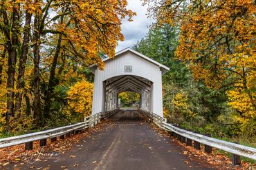 autumn, bridge, covered,Oregon,  Santiam River, scenic, Shorts Bridge, Sweet Home, travel, trees