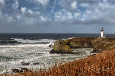  architecture, coast, lighthouse, Newport, ocean, Oregon, protector, scenery, sentinel,  Yaquina