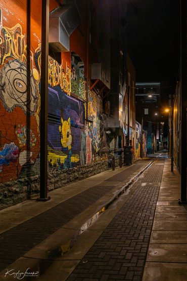 Freak Alley by Kaylyn Franks Photography was captured in downtown Boise, Idaho. 