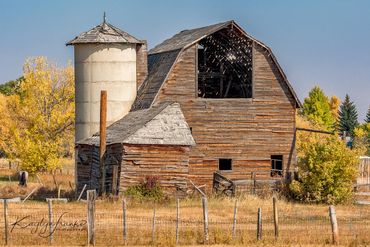  animals, barn, grain silo, old, scenic, USA, wooden, Idaho, St. Charles, agriculture, farming
