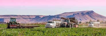 agriculture, Canyon County, farm, Idaho, John Deere, Melba, harvester, sugar beets, topper, tractor