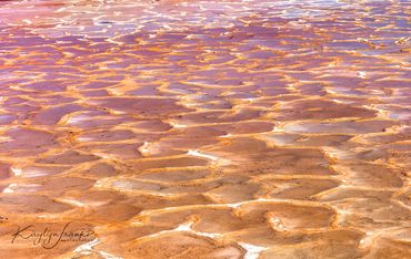 Baja, Island Hopping, kayakers, Mar Y Adventures, Mexico, ocean, sailboat, Salt Field, Sea of Cortez