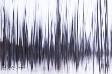 Bobby Socks Basin,  minerals, blur, snow, trees, water, white, winter, Yellowstone National Park