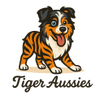 Tiger Aussies