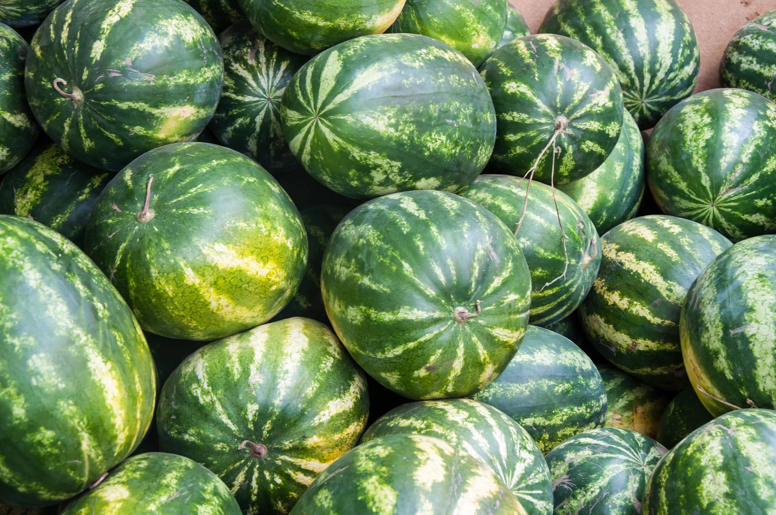 Watermelon