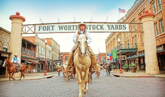 Vinted Fort Worth