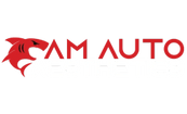 AM Auto Aesthetics
